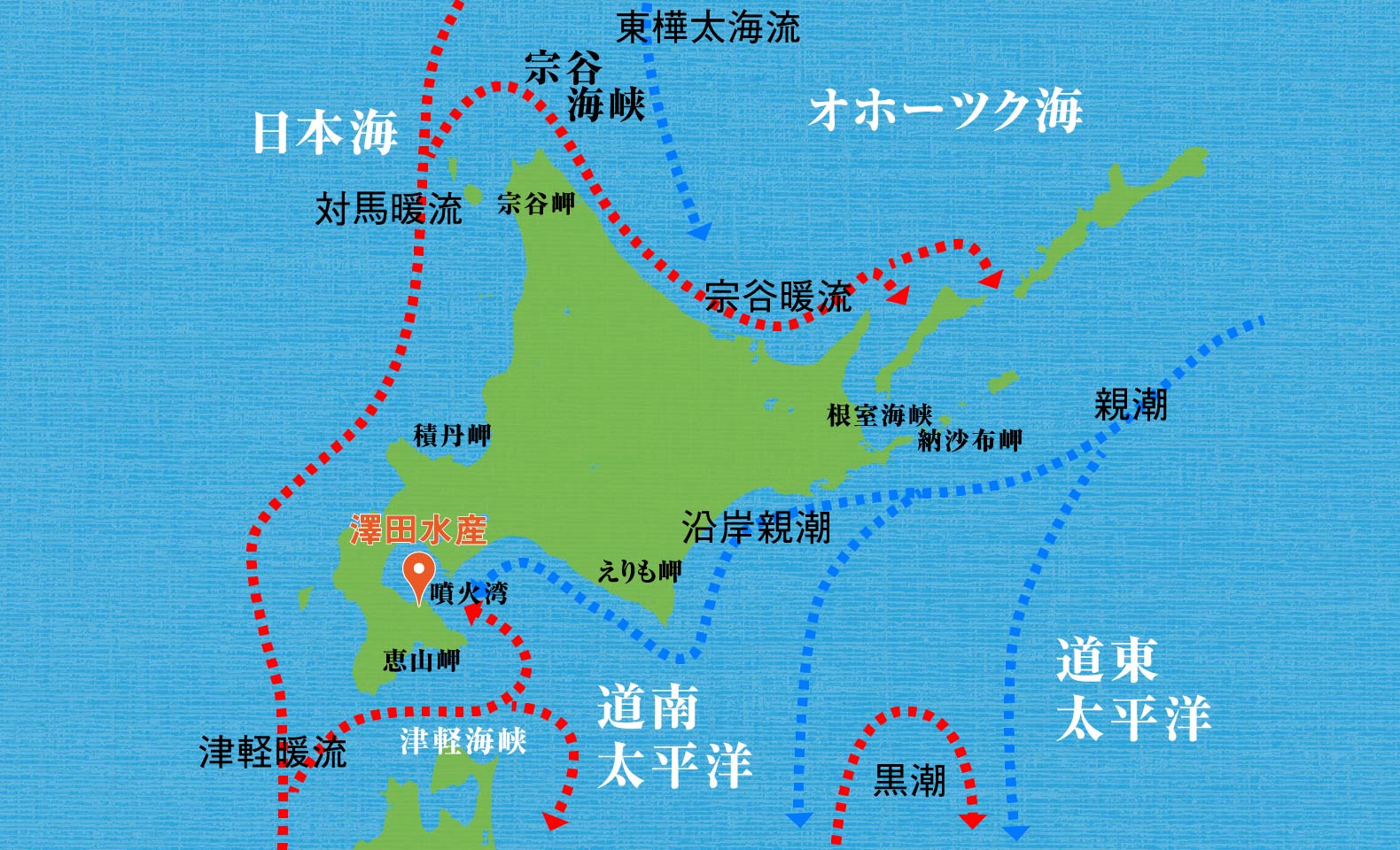 澤田水産、森町噴火湾の海流